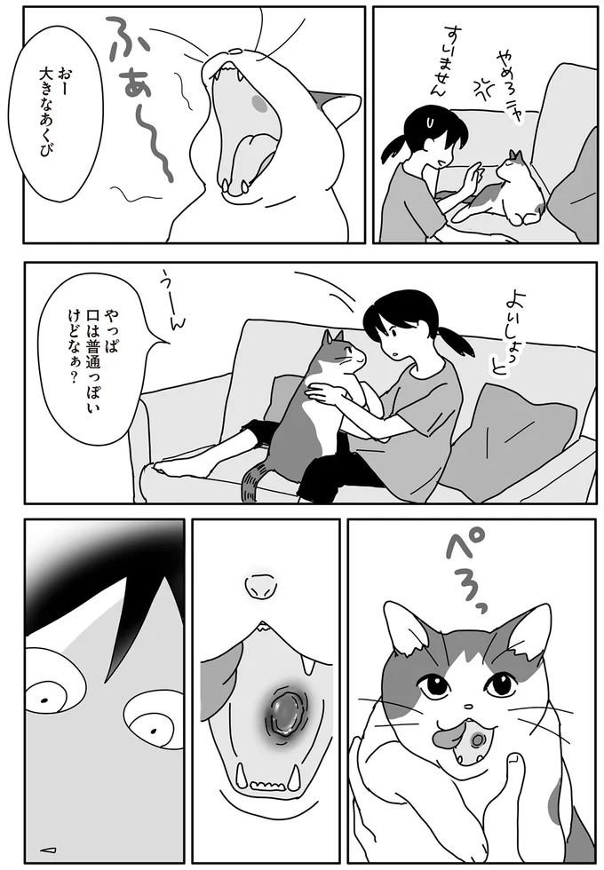 『世界一幸せな飼い主にしてくれた猫』（画像36/129枚目）