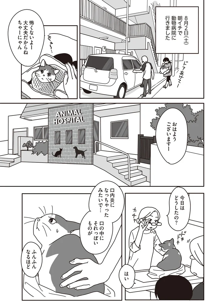 『世界一幸せな飼い主にしてくれた猫』（画像39/129枚目）
