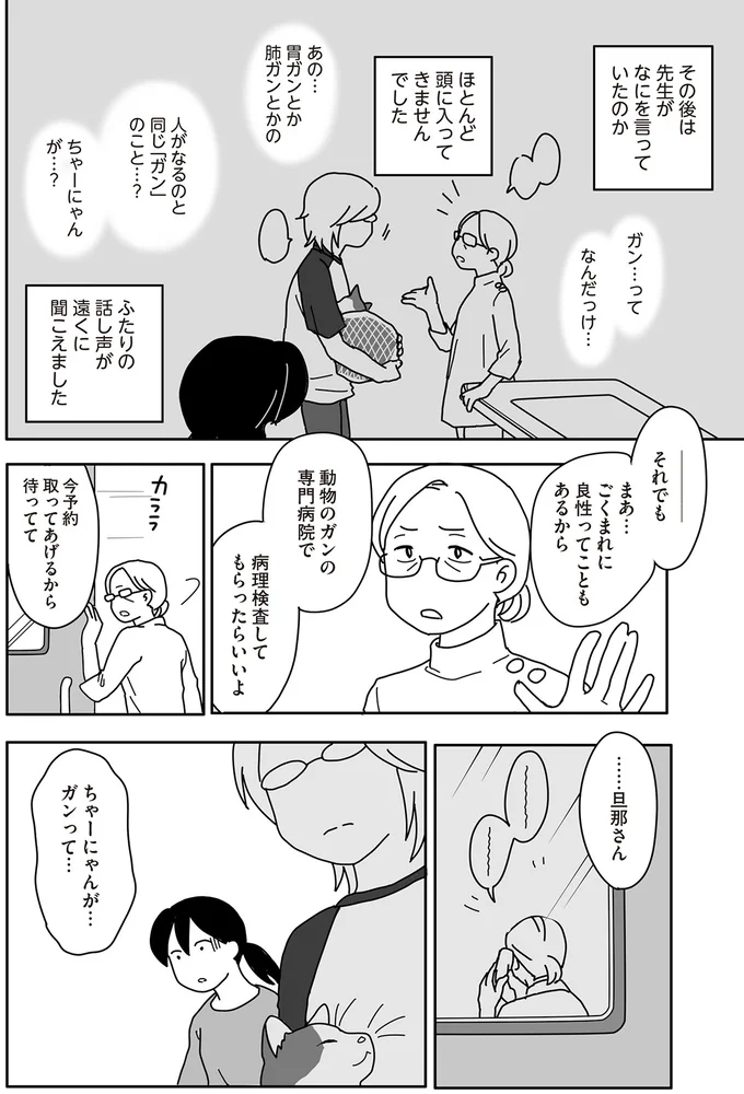『世界一幸せな飼い主にしてくれた猫』（画像43/129枚目）