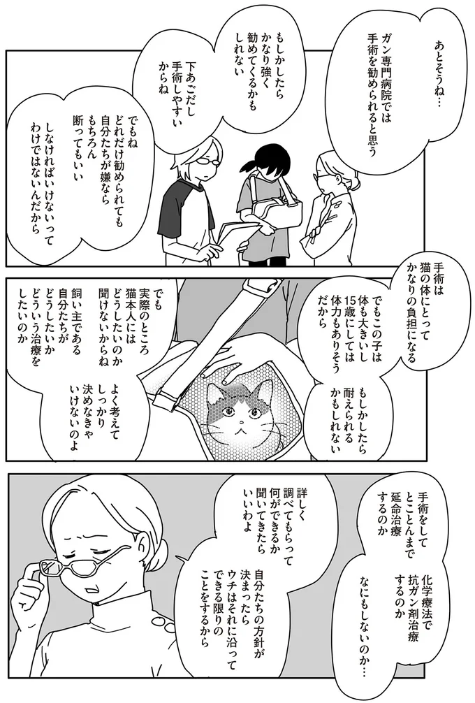 『世界一幸せな飼い主にしてくれた猫』（画像46/129枚目）
