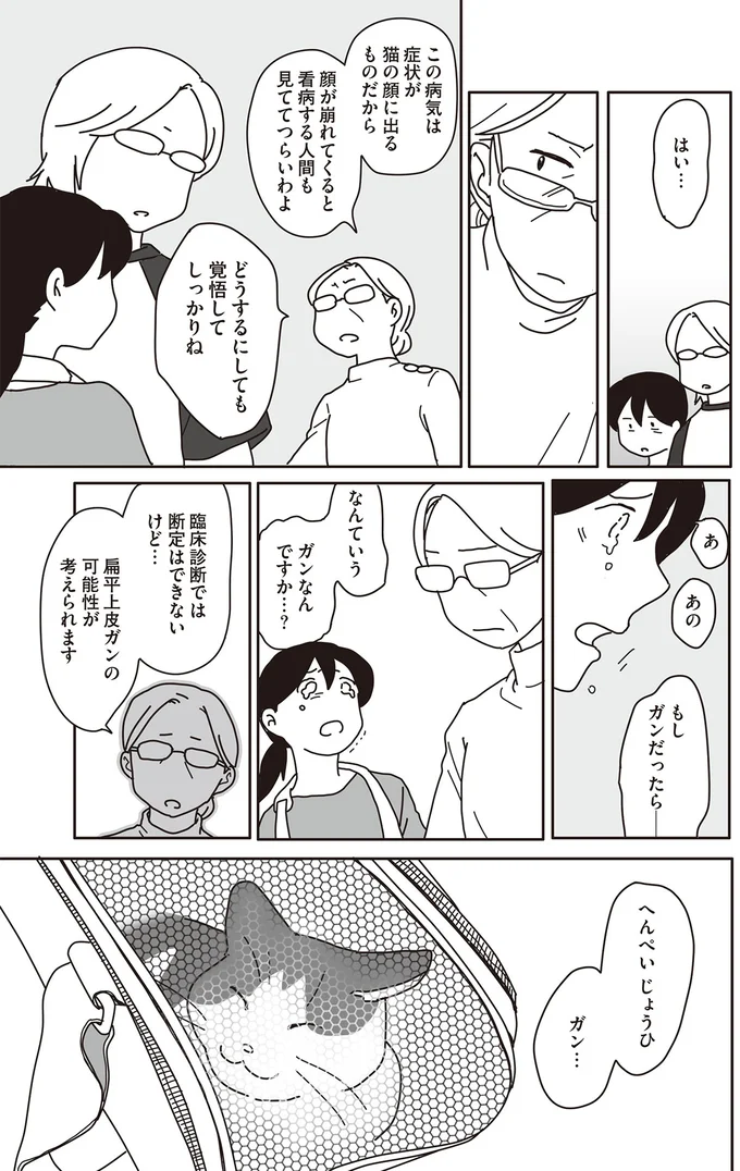 『世界一幸せな飼い主にしてくれた猫』（画像47/129枚目）