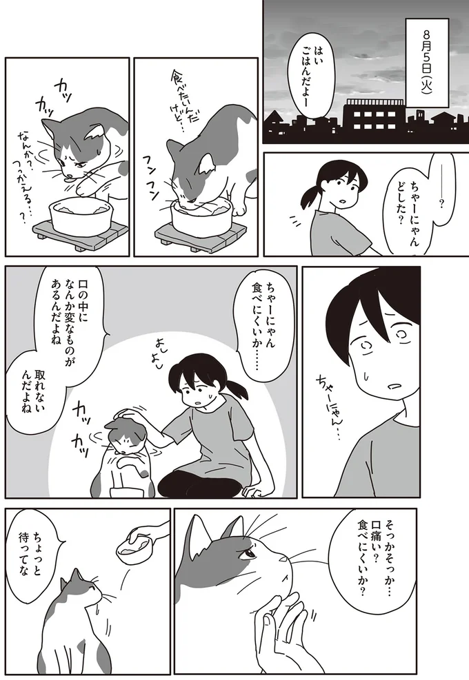 『世界一幸せな飼い主にしてくれた猫』（画像53/129枚目）