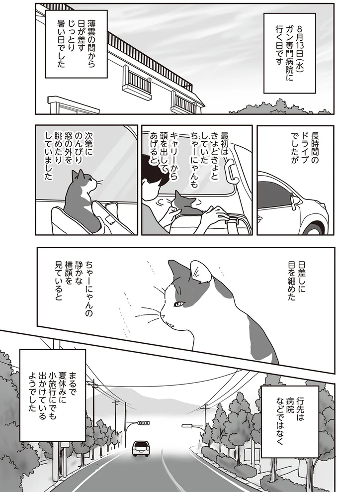 『世界一幸せな飼い主にしてくれた猫』（画像57/129枚目）