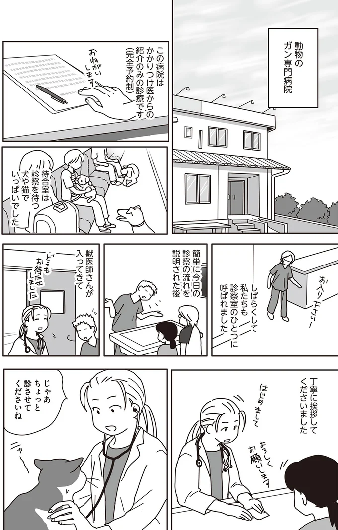 『世界一幸せな飼い主にしてくれた猫』（画像58/129枚目）