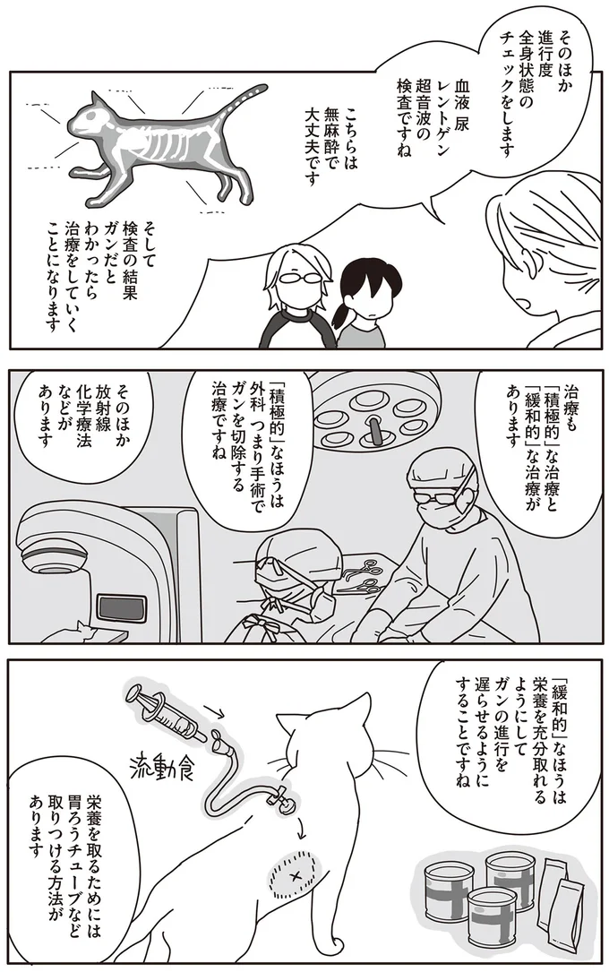 『世界一幸せな飼い主にしてくれた猫』（画像61/129枚目）