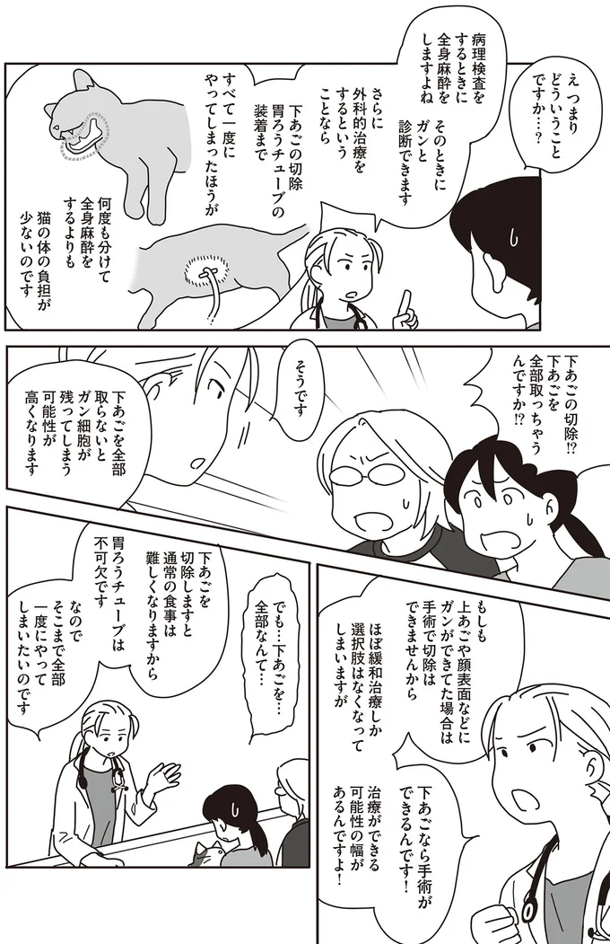 『世界一幸せな飼い主にしてくれた猫』（画像63/129枚目）