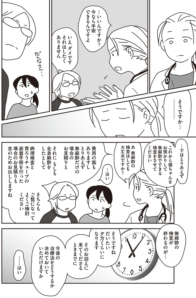 『世界一幸せな飼い主にしてくれた猫』（画像66/129枚目）