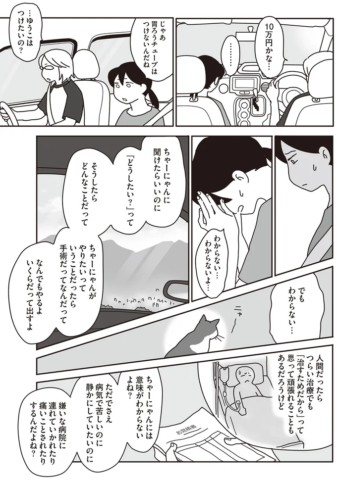 『世界一幸せな飼い主にしてくれた猫』（画像69/129枚目）