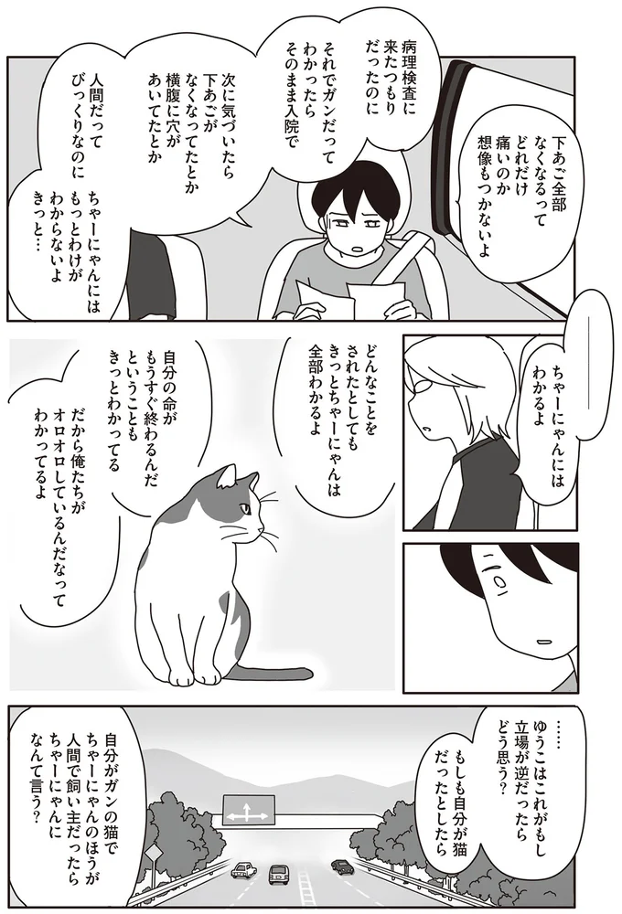 『世界一幸せな飼い主にしてくれた猫』（画像71/129枚目）