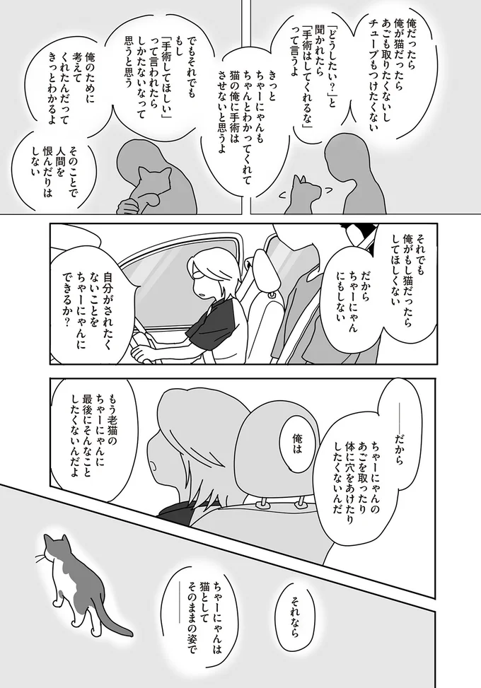 『世界一幸せな飼い主にしてくれた猫』（画像72/129枚目）