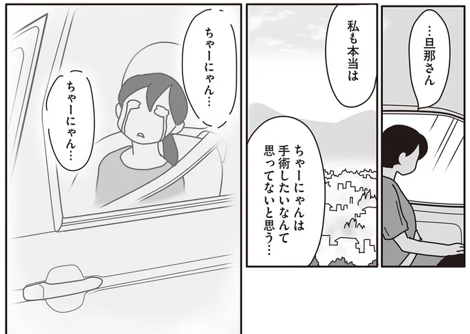 『世界一幸せな飼い主にしてくれた猫』（画像74/129枚目）
