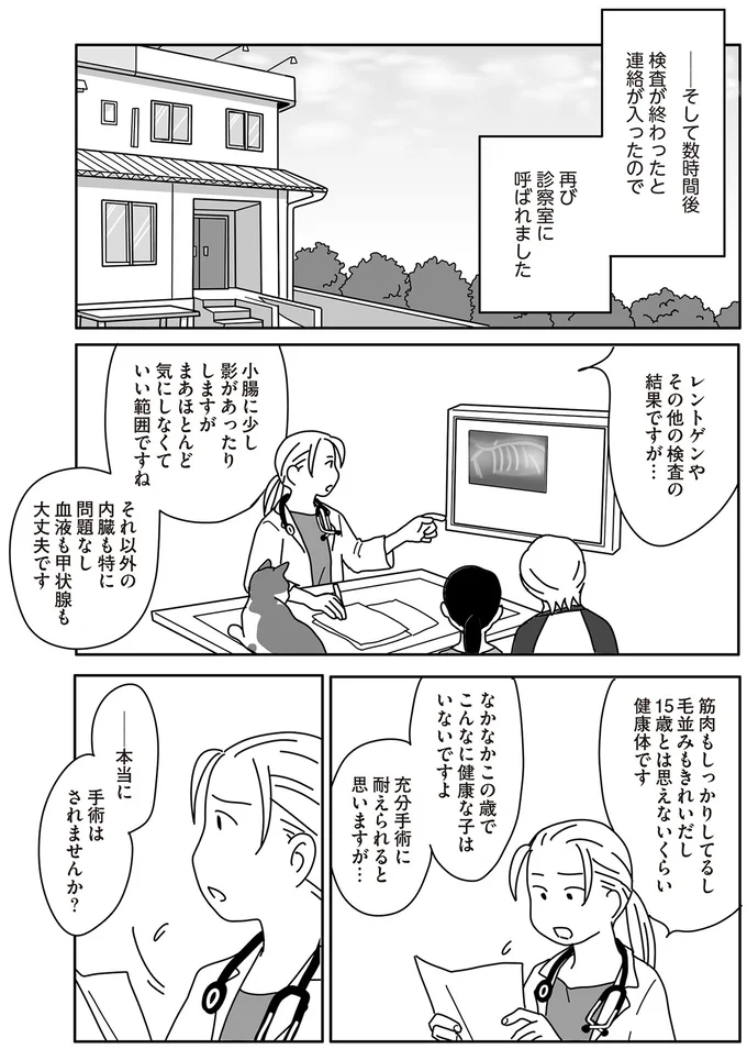 『世界一幸せな飼い主にしてくれた猫』（画像78/129枚目）