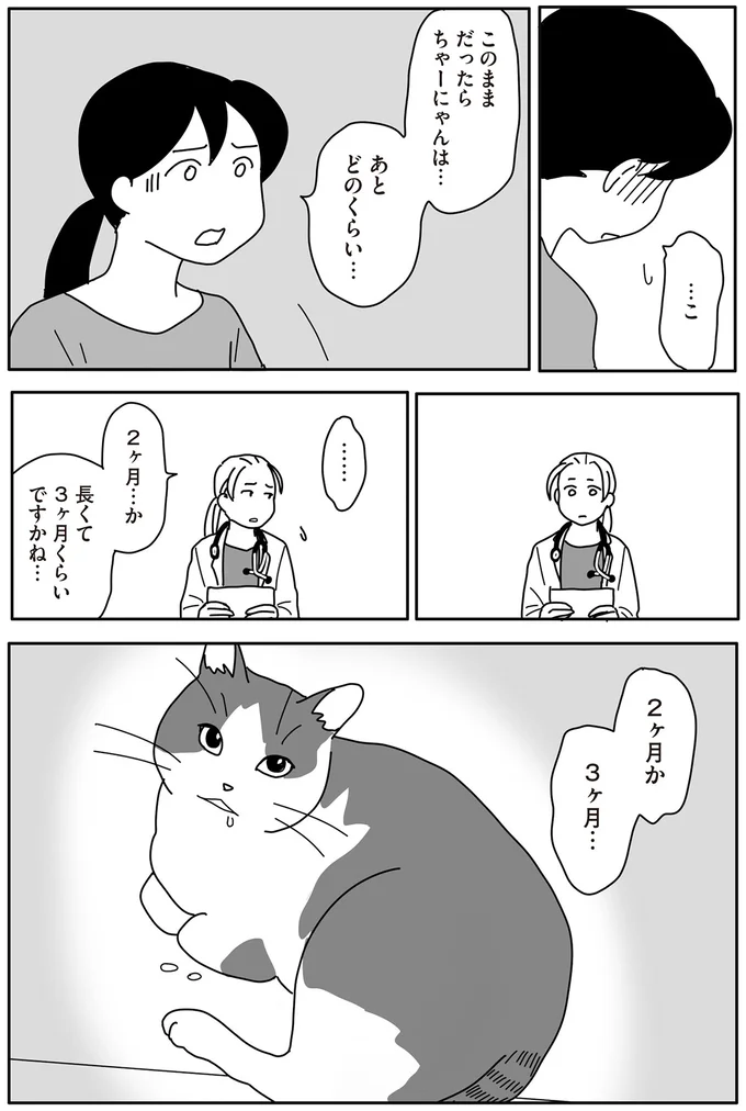 『世界一幸せな飼い主にしてくれた猫』（画像81/129枚目）