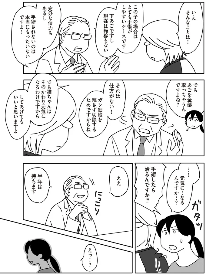 『世界一幸せな飼い主にしてくれた猫』（画像83/129枚目）