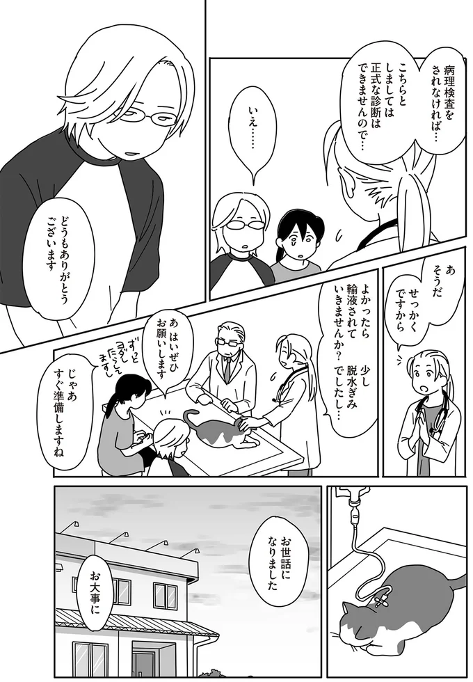 『世界一幸せな飼い主にしてくれた猫』（画像88/129枚目）