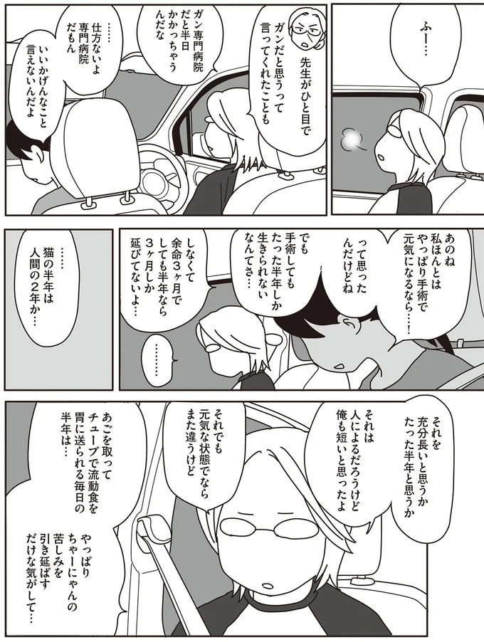 『世界一幸せな飼い主にしてくれた猫』（画像89/129枚目）