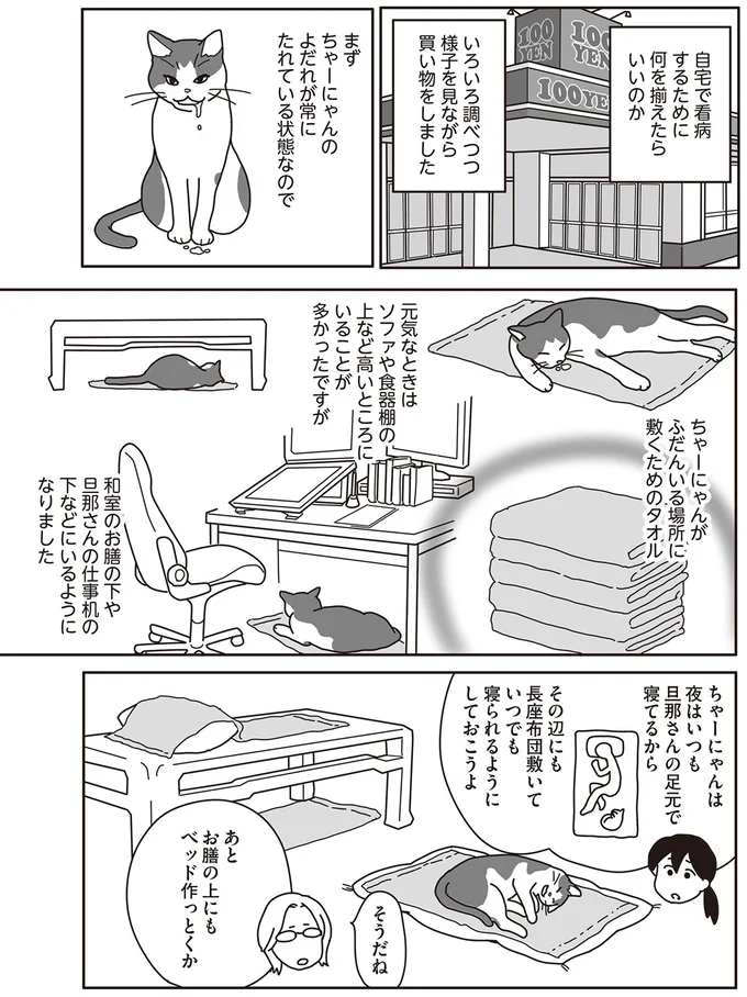 『世界一幸せな飼い主にしてくれた猫』（画像93/129枚目）