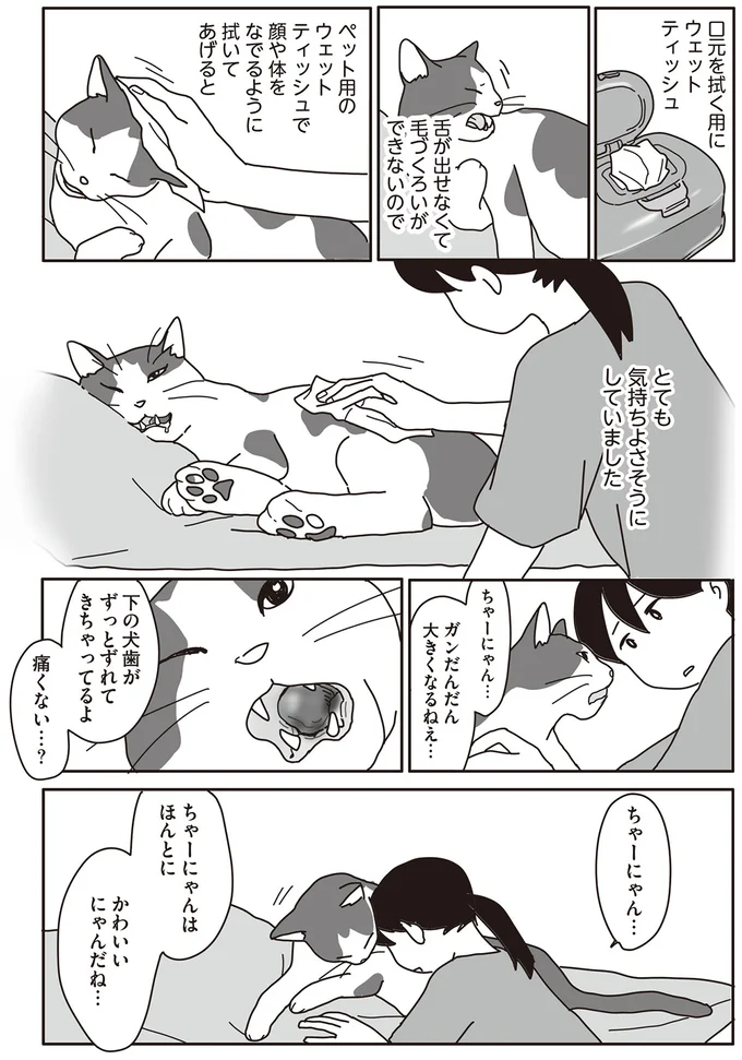 『世界一幸せな飼い主にしてくれた猫』（画像98/129枚目）