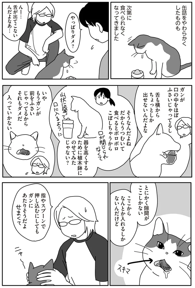 『世界一幸せな飼い主にしてくれた猫』（画像99/129枚目）