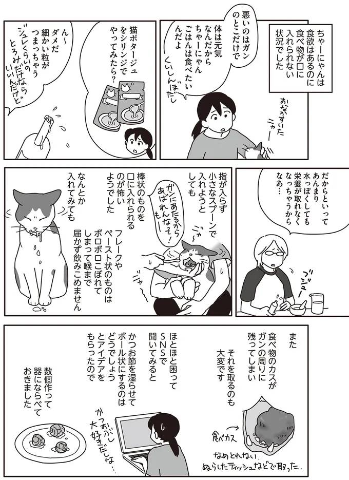 『世界一幸せな飼い主にしてくれた猫』（画像101/129枚目）