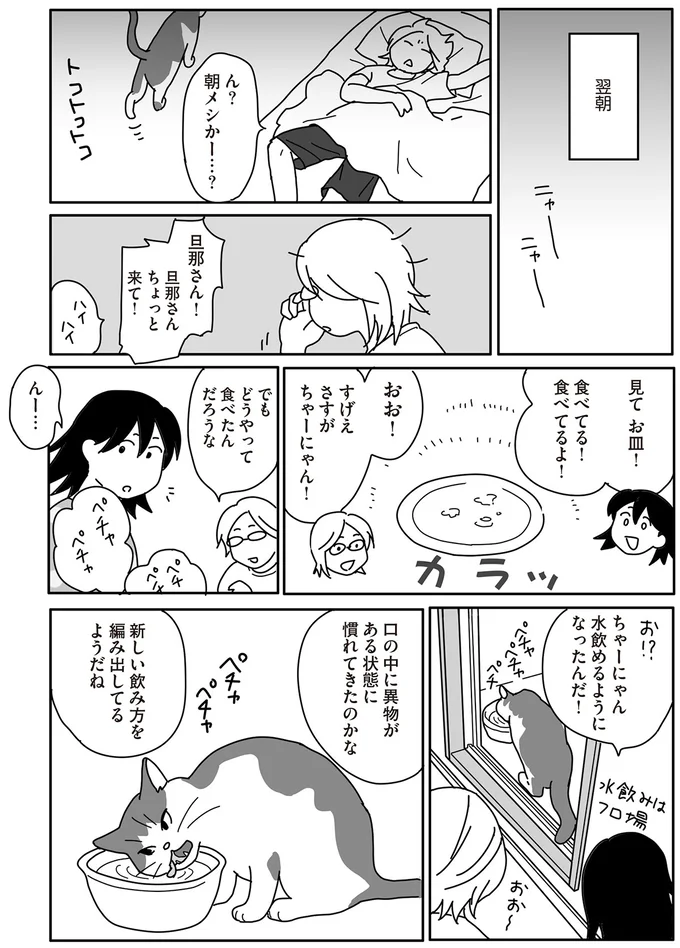 『世界一幸せな飼い主にしてくれた猫』（画像102/129枚目）