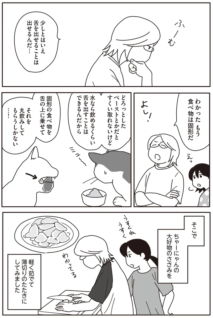 『世界一幸せな飼い主にしてくれた猫』（画像103/129枚目）