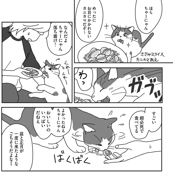 『世界一幸せな飼い主にしてくれた猫』（画像107/129枚目）