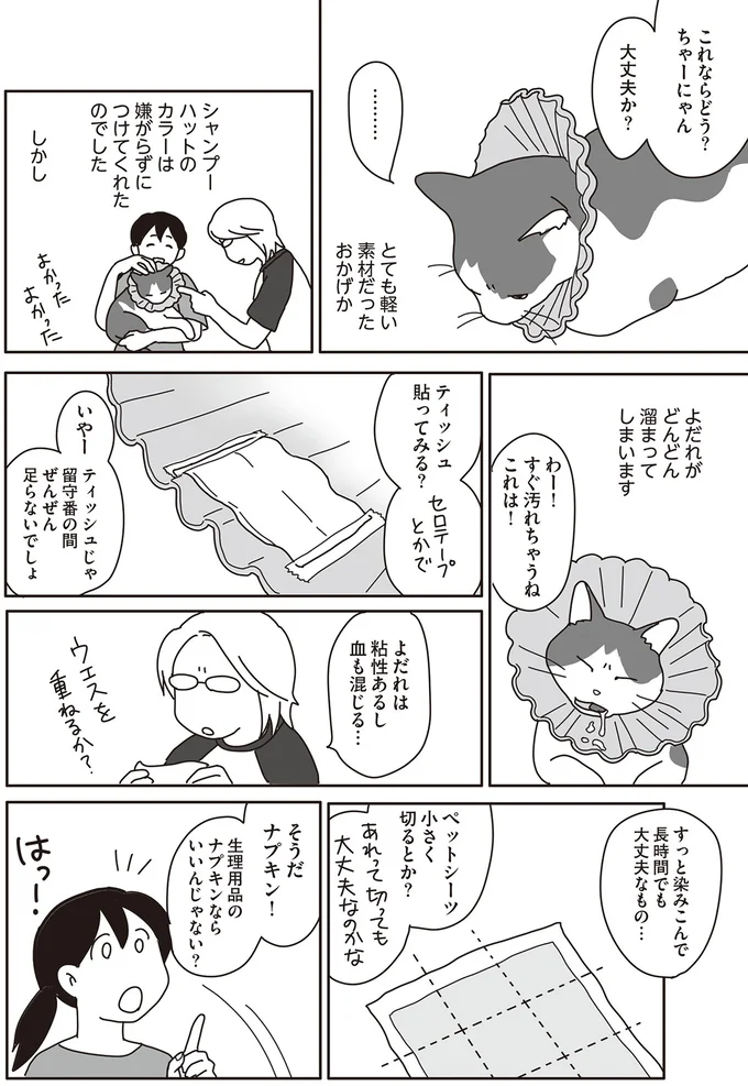 『世界一幸せな飼い主にしてくれた猫』（画像121/129枚目）