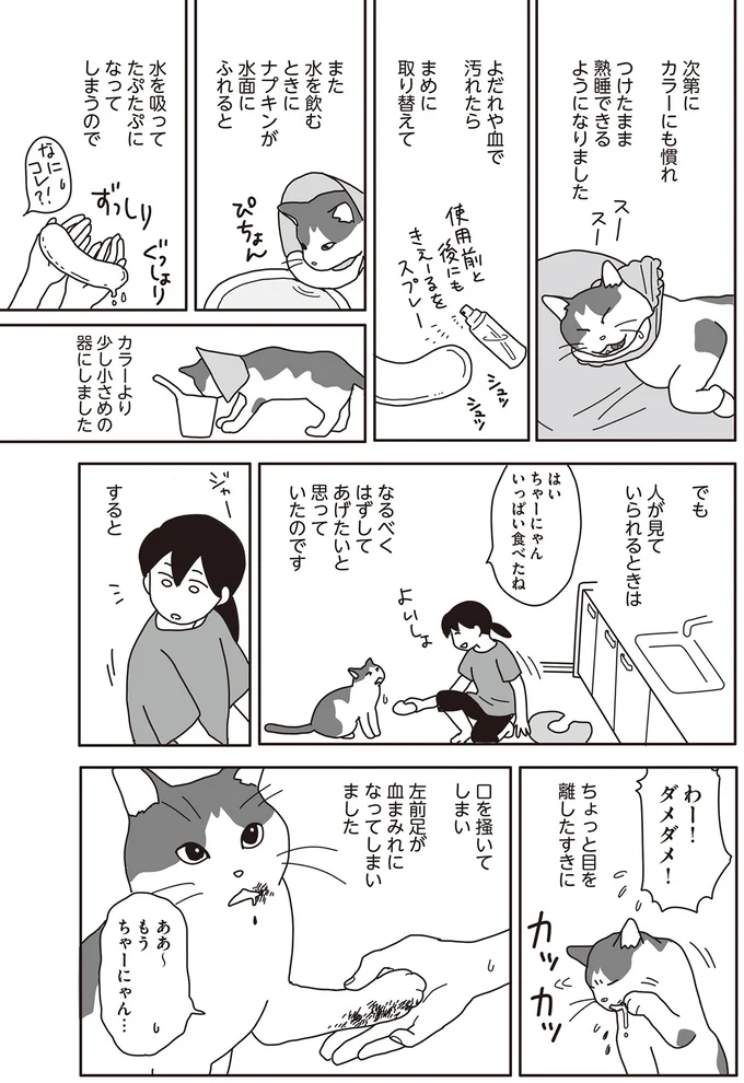 『世界一幸せな飼い主にしてくれた猫』（画像123/129枚目）