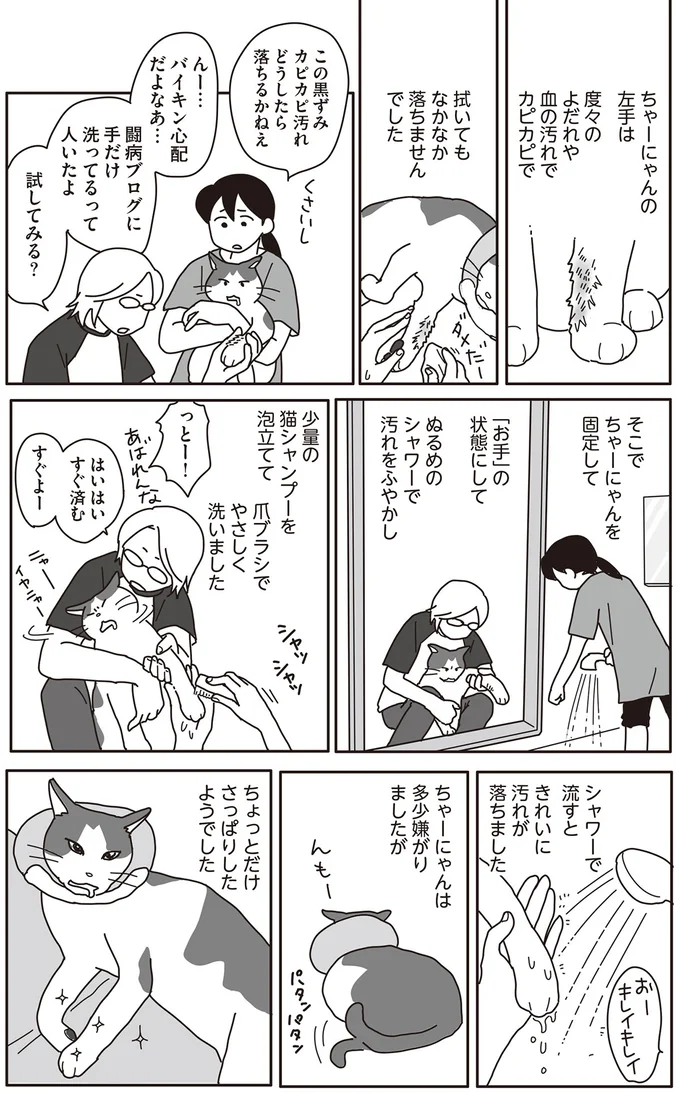 『世界一幸せな飼い主にしてくれた猫』（画像124/129枚目）