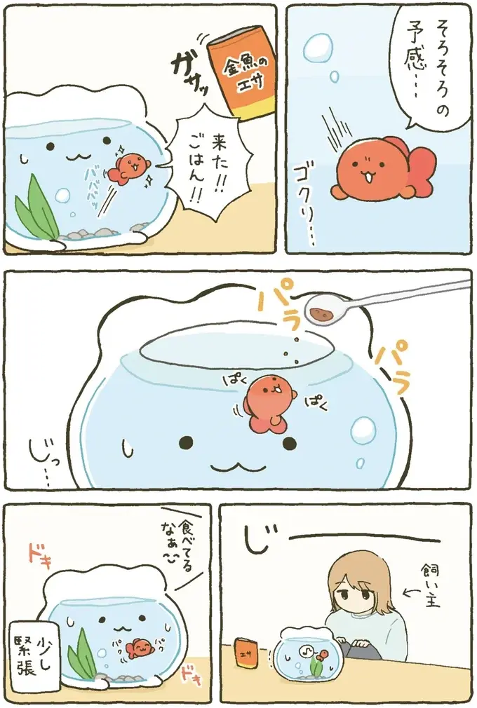 『金魚鉢ちゃん ずっといっしょのまいにち』（10）