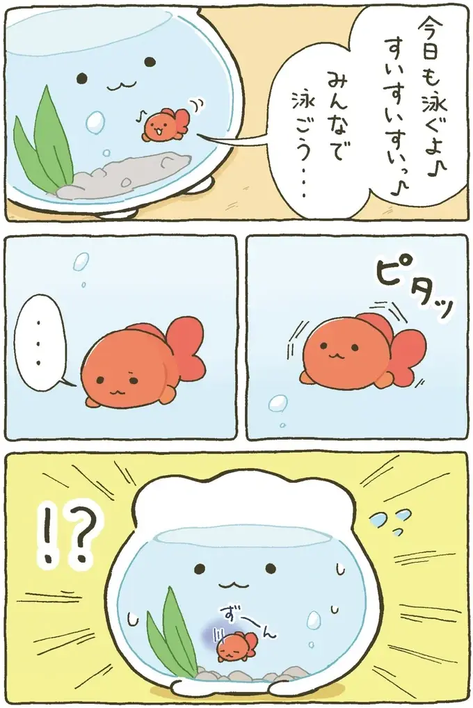 『金魚鉢ちゃん ずっといっしょのまいにち』（11）