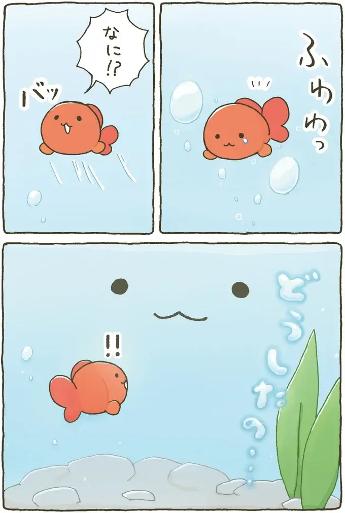 『金魚鉢ちゃん ずっといっしょのまいにち』（14）