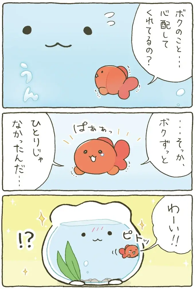 『金魚鉢ちゃん ずっといっしょのまいにち』（15）