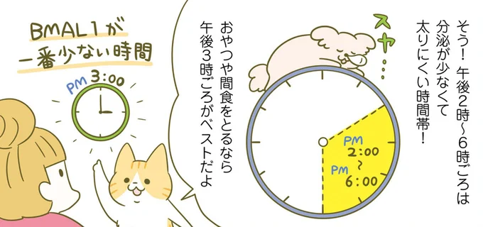 太りやすい「夜10時から朝3時」。では食べても太りにくい時間は？／ネコちゃんのゆるゆるダイエット塾（1）