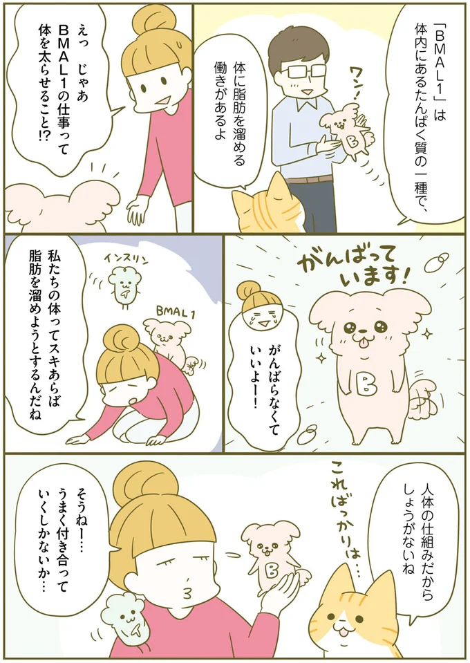 太りやすい「夜10時から朝3時」。では食べても太りにくい時間は？／ネコちゃんのゆるゆるダイエット塾（4）