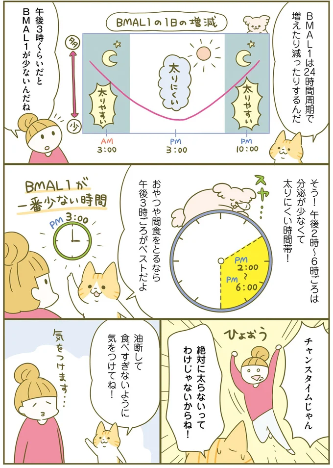 太りやすい「夜10時から朝3時」。では食べても太りにくい時間は？／ネコちゃんのゆるゆるダイエット塾（5）