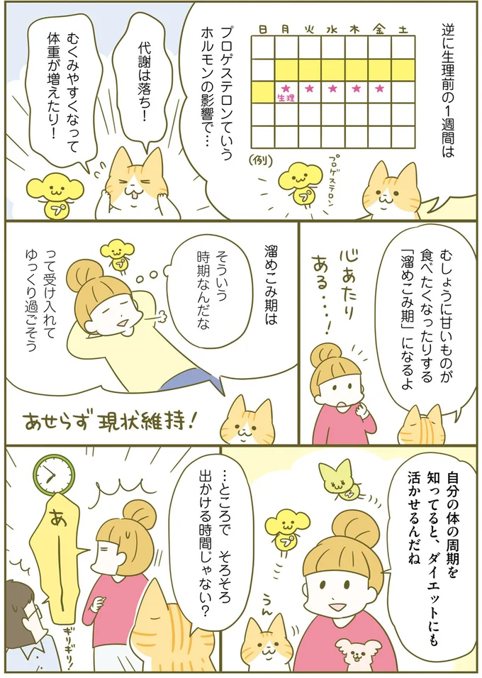 太りやすい「夜10時から朝3時」。では食べても太りにくい時間は？／ネコちゃんのゆるゆるダイエット塾（7）