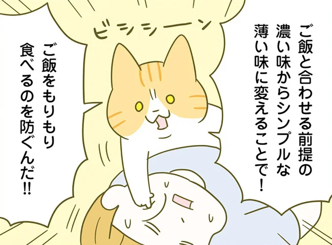 痩せやすい食事に重要な食べ順。そして「味付け」で注意することは？／ネコちゃんのゆるゆるダイエット塾（1）
