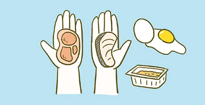 痩せやすい食事に重要な食べ順。そして「味付け」で注意することは？／ネコちゃんのゆるゆるダイエット塾（7）