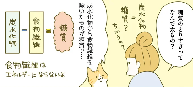 なぜ太ってしまうのか？ 痩せるために知っておきたい糖質のはたらき／ネコちゃんのゆるゆるダイエット塾（1）