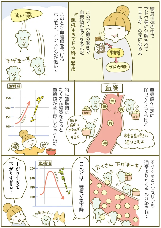 なぜ太ってしまうのか？ 痩せるために知っておきたい糖質のはたらき／ネコちゃんのゆるゆるダイエット塾（5）