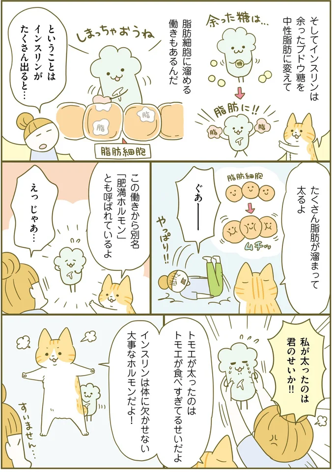 なぜ太ってしまうのか？ 痩せるために知っておきたい糖質のはたらき／ネコちゃんのゆるゆるダイエット塾（7）