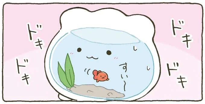 はじめてのお友だち。 気に入った？ それとも...不安と期待にソワソワ／金魚鉢ちゃん ずっといっしょのまいにち（1）