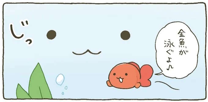 「金魚が泳ぐよ～」幸せなそうな金魚ちゃんを見てにっこり／金魚鉢ちゃん ずっといっしょのまいにち（1）