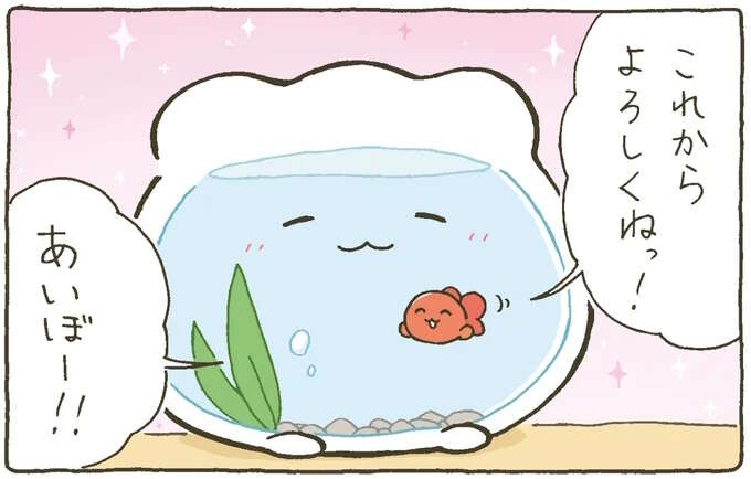「よろしくね！」金魚くんと金魚鉢ちゃん。一人じゃないっていいね！／金魚鉢ちゃん ずっといっしょのまいにち（1）