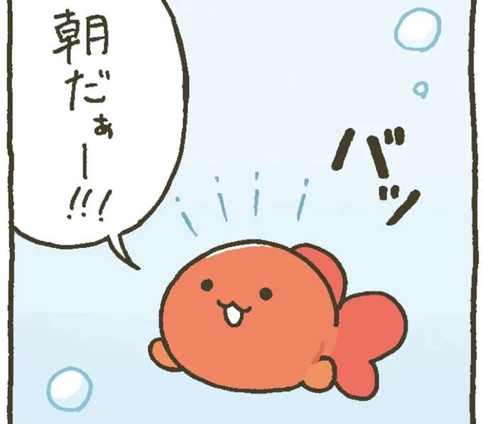 起こしたり見守ったり。金魚鉢ちゃんの金魚くんの朝のルーティン／金魚鉢ちゃん ずっといっしょのまいにち（1）