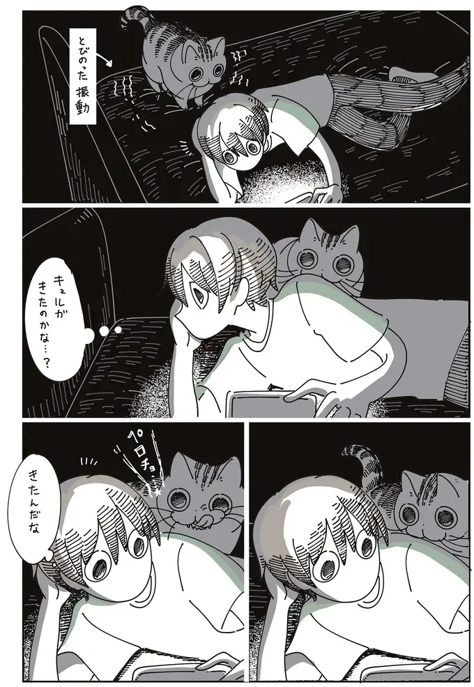 うわぁ！ 真っ暗な部屋、愛猫がいるのは気配で分かってたけれど／夜は猫といっしょ7（4）