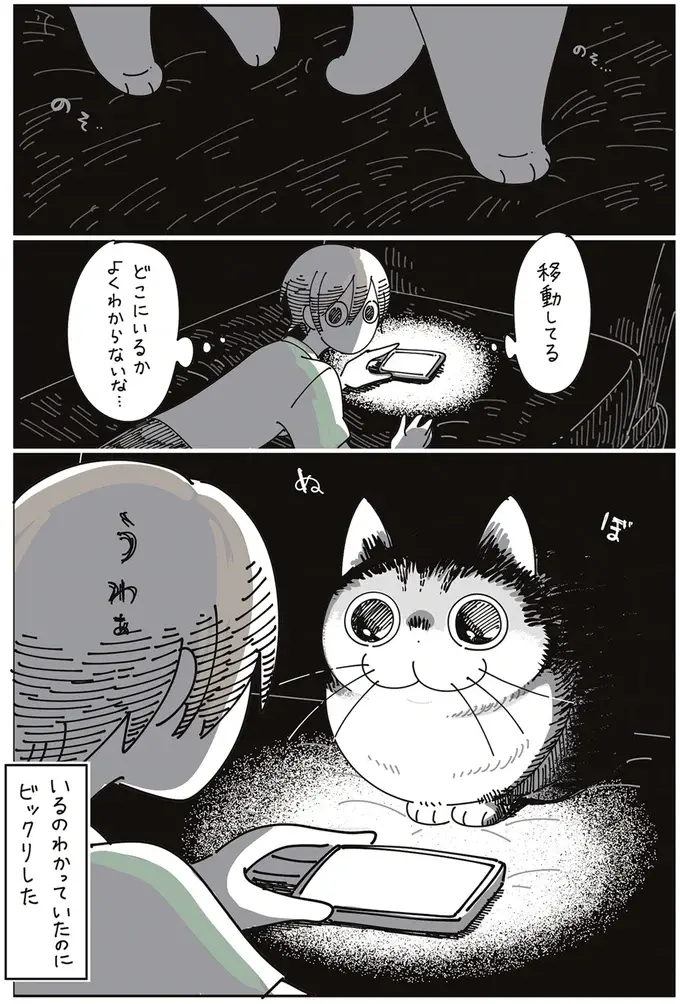 うわぁ！ 真っ暗な部屋、愛猫がいるのは気配で分かってたけれど／夜は猫といっしょ7（5）