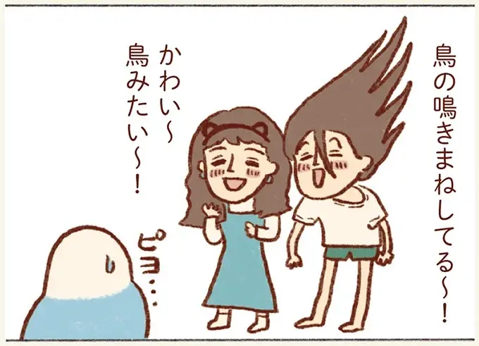 「プジェ、キュキュ、ジャア」たまに来る「ピヨ」の鳴き声がかわいい我が家のセキセイインコ／プジェ日記！ （7）